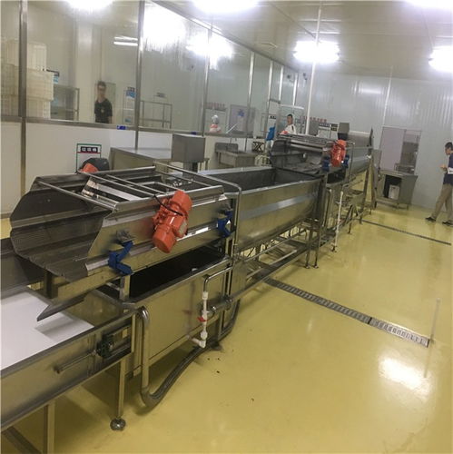 辣椒渦流震動(dòng)清洗機(jī)選購指南 深度解析億馬食品機(jī)械與行業(yè)優(yōu)選方案